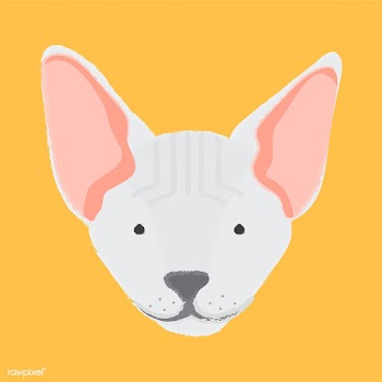 Illustration of a cat's head | Free stock vector - 60707