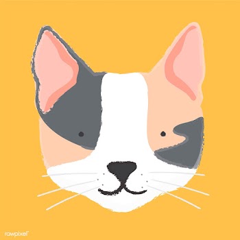Illustration of a cat's head | Free stock vector - 60709