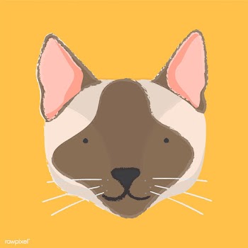 Illustration of a cat's head | Free stock vector - 60710