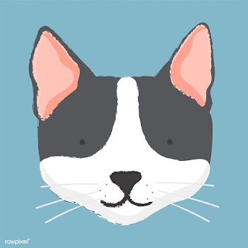 Illustration of a cat's head | Free stock vector - 60718