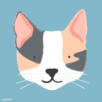 Illustration of a cat's head | Free stock vector - 60731