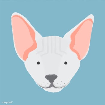Illustration of a cat's head | Free stock vector - 60734