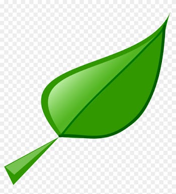 Illustration Of A Green Leaf - Leaf Clip Art
