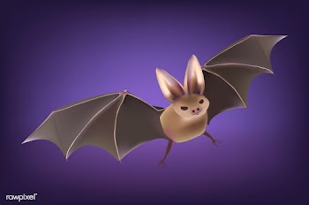 Illustration of a Halloween bat | Free stock vector - 87914
