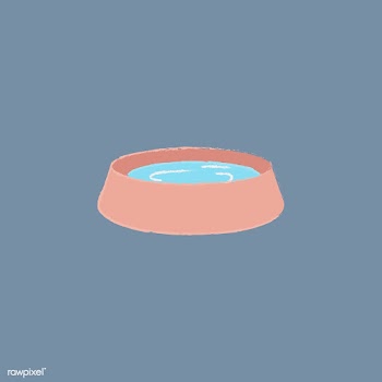 Illustration of a pet's water bowl | Free stock vector - 60493
