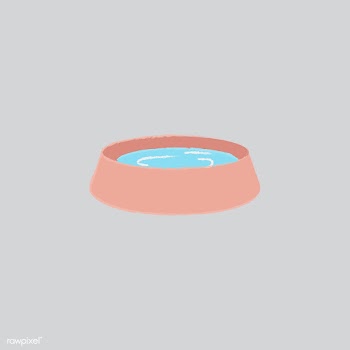Illustration of a pet's water bowl | Free stock vector - 60525