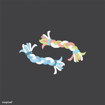 Illustration of a pet rope toy | Free stock vector - 60491
