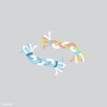 Illustration of a pet rope toy | Free stock vector - 60518
