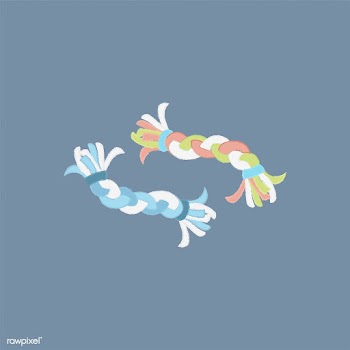 Illustration of a pet rope toy | Free stock vector - 60532