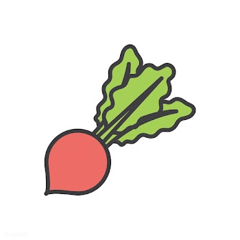 Illustration of a radish | Free stock vector - 113670