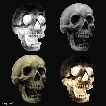 Illustration of a skull icon vector for Hallo.. | Free stock vector - 486581