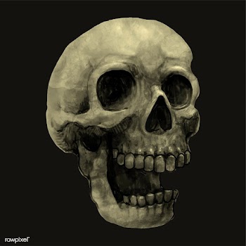 Illustration of a skull icon vector for Hallo.. | Free stock vector - 486591