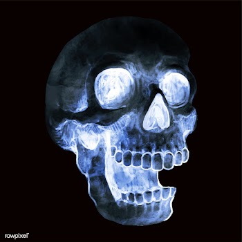 Illustration of a skull icon vector for Hallo.. | Free stock vector - 486637