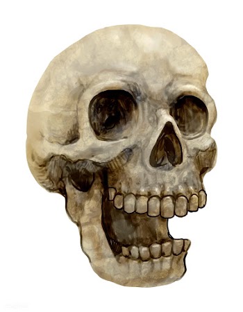 Illustration of a skull icon vector for Hallo.. | Free stock vector - 486684