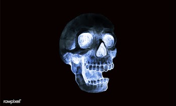 Illustration of a skull icon vector for Hallo.. | Free stock vector - 486692