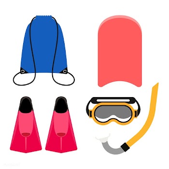 Illustration of a snorkeling equipment | Free stock vector - 462839