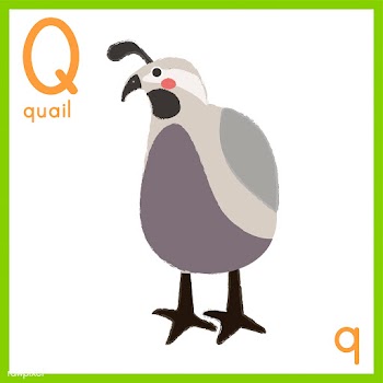Illustration of alphabet letter with animal p.. | Free stock vector - 394938