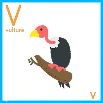 Illustration of alphabet letter with animal p.. | Free stock vector - 394979