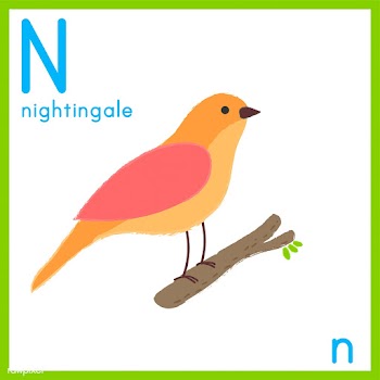 Illustration of alphabet letter with animal p.. | Free stock vector - 395016