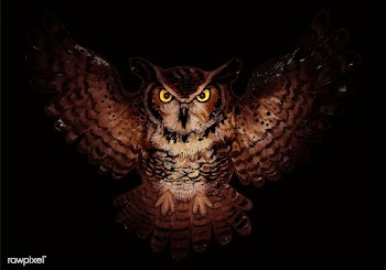 Illustration of an owl icon vector for Hallow.. | Free stock vector - 486652