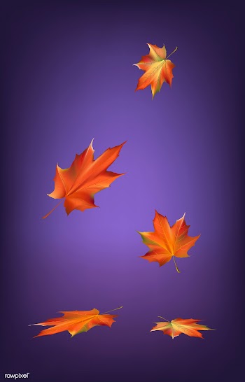 Illustration of autumn leaves falling | Free stock vector - 87919