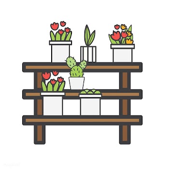 Illustration of cactus plants on wood shelves | Free stock vector - 77179
