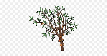 Illustration Of Crop, Cacao - Cocoa Tree Clip Art