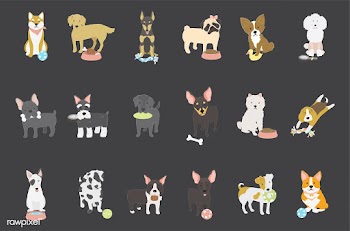 Illustration of different breeds of dogs | Free stock vector - 60502