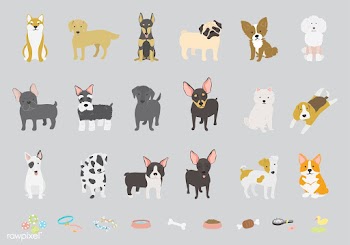 Illustration of different breeds of dogs | Free stock vector - 60516