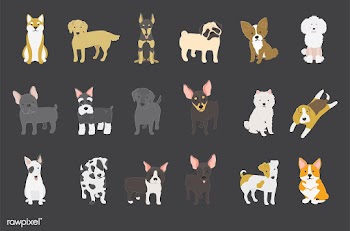 Illustration of different breeds of dogs | Free stock vector - 60541