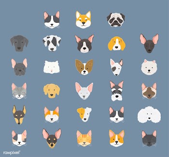 Illustration of different breeds of dogs | Free stock vector - 60551