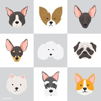 Illustration of different breeds of dogs | Free stock vector - 60553