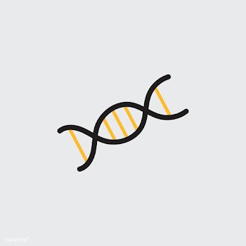 Illustration of DNA double helix | Free stock vector - 250968