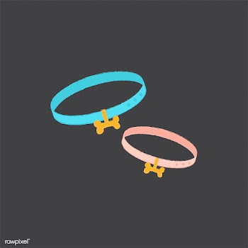 Illustration of dog collars | Free stock vector - 60492