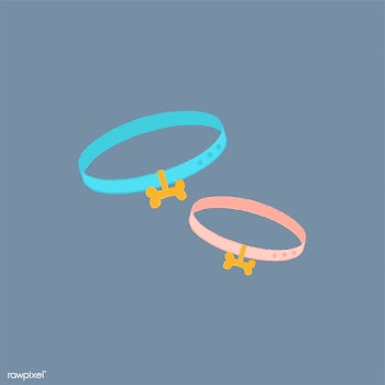 Illustration of dog collars | Free stock vector - 60548