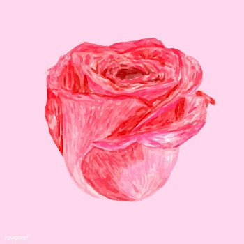 Illustration of drawing red rose flower | Free stock vector - 77469
