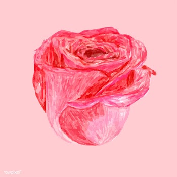 Illustration of drawing red rose flower | Free stock vector - 77521