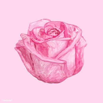 Illustration of drawing rose flower | Free stock vector - 77471
