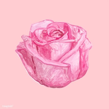 Illustration of drawing rose flower | Free stock vector - 77482