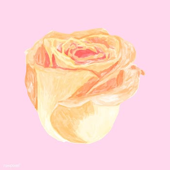 Illustration of drawing rose flower | Free stock vector - 77488