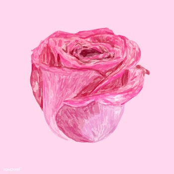 Illustration of drawing rose flower | Free stock vector - 77505