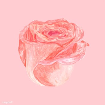 Illustration of drawing rose flower | Free stock vector - 77510