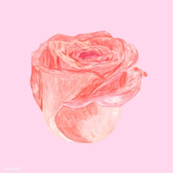 Illustration of drawing rose flower | Free stock vector - 77511