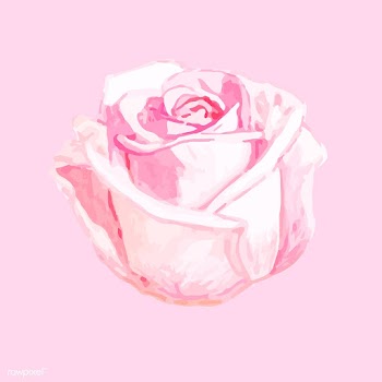 Illustration of drawing rose flower | Free stock vector - 77517