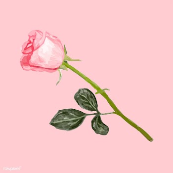 Illustration of drawing rose flower | Free stock vector - 77518