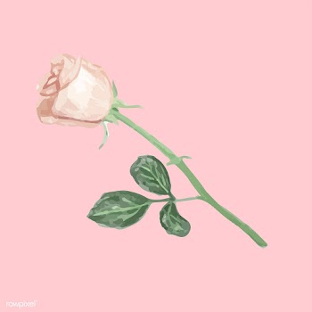 Illustration of drawing rose flower | Free stock vector - 77522