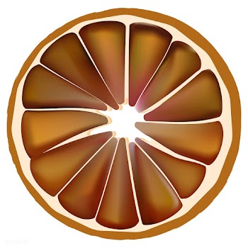 Illustration of dried orange for home decorat.. | Free stock vector - 295240