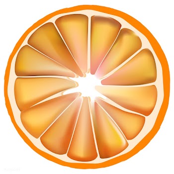 Illustration of dried orange for home decorat.. | Free stock vector - 295259