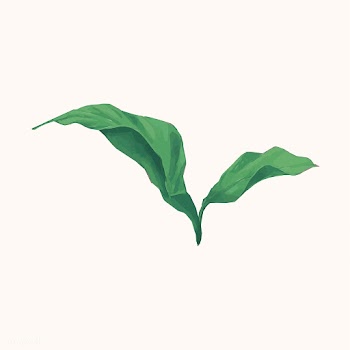 Illustration of green leaf watercolor style | Free stock vector - 388836