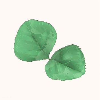 Illustration of green leaf watercolor style | Free stock vector - 388841